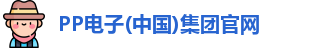 pp电子试玩